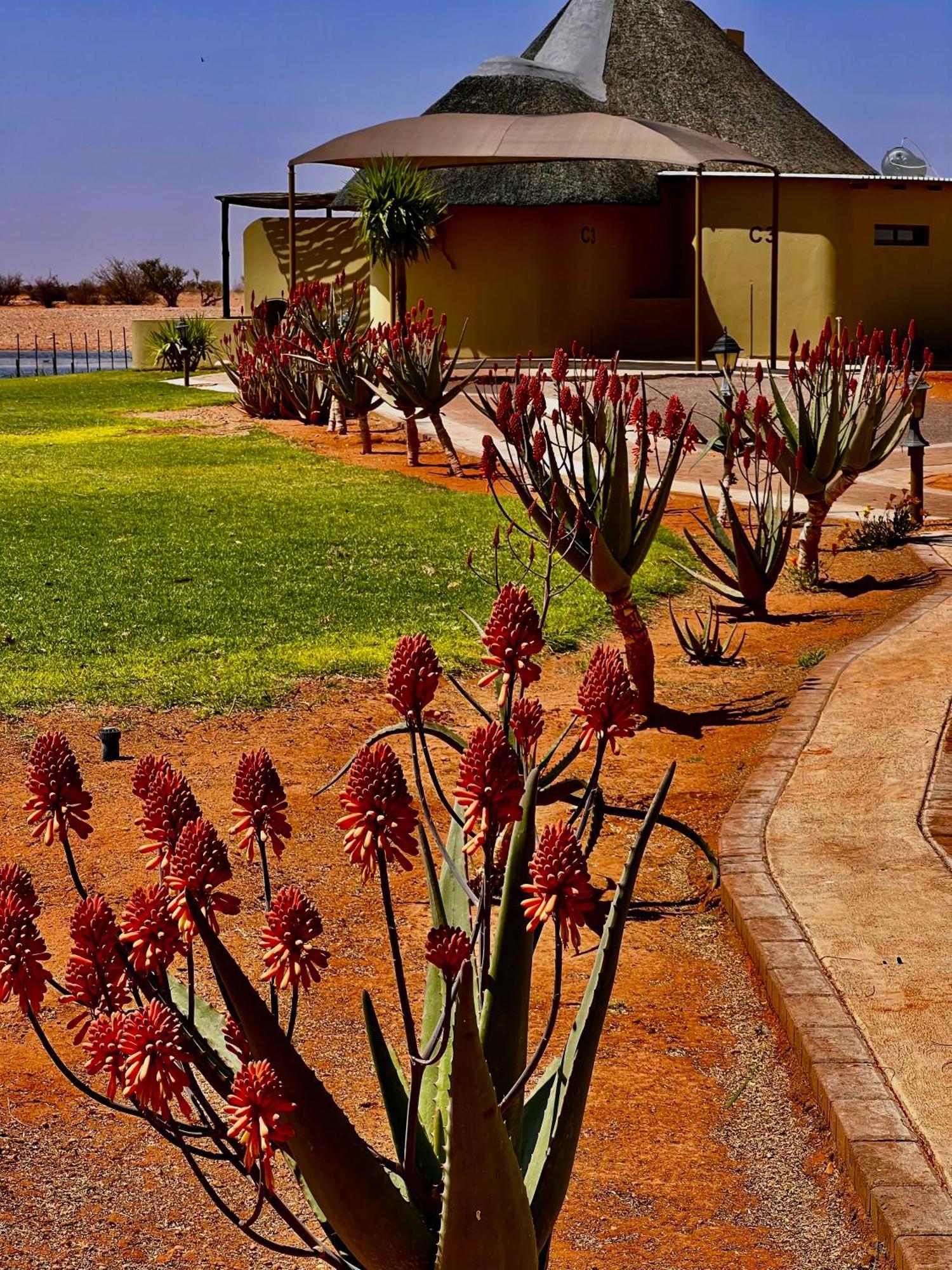 Lapa Lange Game Lodge Mariental Esterno foto